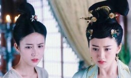 丫环最新爆料,宫廷秘闻背后的惊人真相